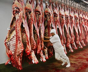 carne
