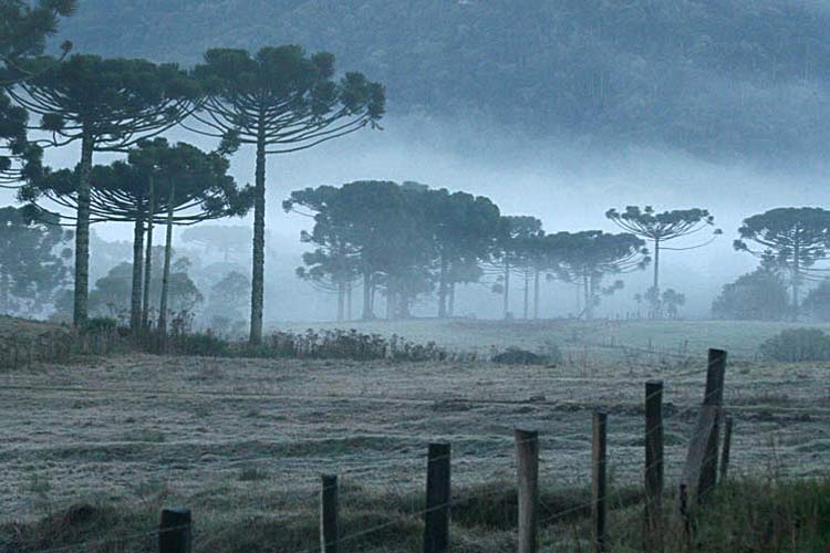 frio-da-serra