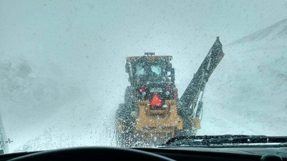 neve2