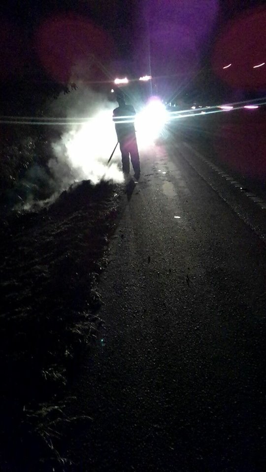 fogo
