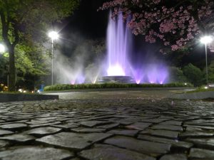 DSCN6442