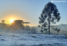 Frio intenso marca amanhecer em Santa Catarina; Concórdia registra 2,1°C