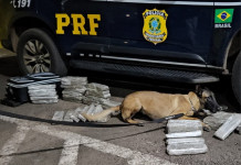 Traficantes com destino a Maravilha são presos pela PRF com mais de 30kg de maconha