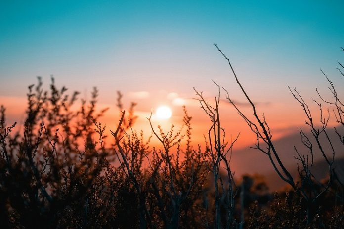 sol