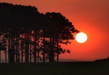 Frio perde força e calor de 30°C volta a partir de quinta-feira, dia 16