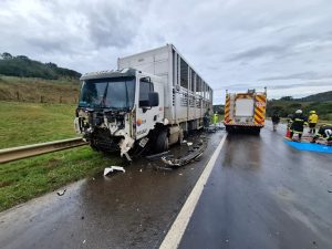 Um motorista morreu