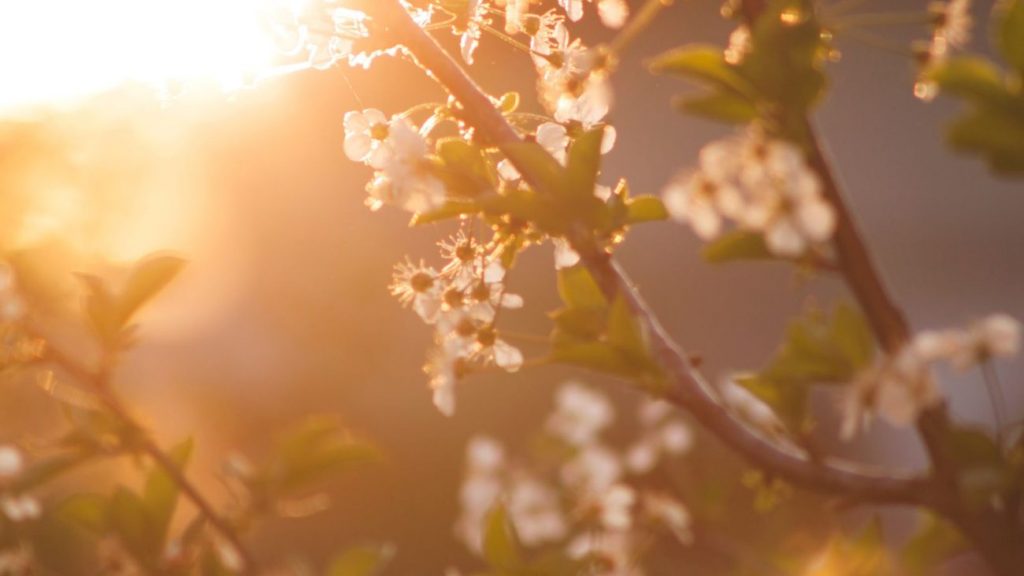 TEMPO: Primeiro dia da primavera começa temperaturas baixas