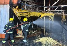 Incêndio danifica aviário no oeste catarinense Incêndio atingiu e danificou aviário no oeste catarinense