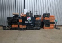 PM apreende quase 2 toneladas de maconha escondida em galpão às margens da BR-282