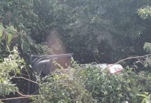 Motorista e passageira de carro sofrem diversas picadas de abelha após acidente em Palmitos Homem e uma mulher sofrem diversas picadas de abelha