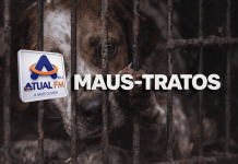 Homem é preso em flagrante após cão ser encontrado coberto de larvas no Extremo-Oeste