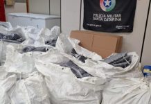 PM apreende R$ 53 mil em roupas estrangeiras em ônibus na BR-163 A PM apreende R$ 53 mil em roupas estrangeiras em ônibus