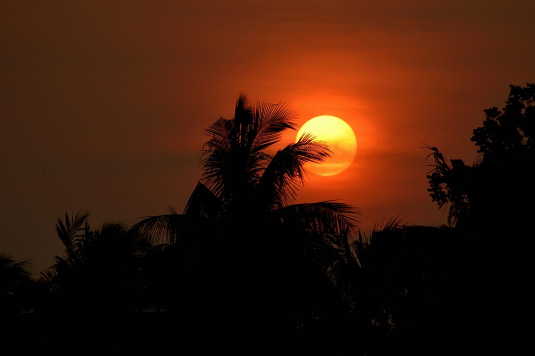 Foto de Supriyo Ghosh na Unsplash