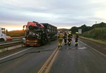 Motorista de 63 anos morre em colisão frontal entre caminhões na BR-386 Acidente fatal na BR-386: Motorista de 63 anos morre em colisão