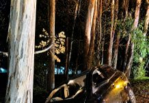Motorista fica ferido após saída de pista e colisão contra árvore na SC-350