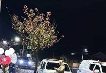 Assalto termina com um ladrão morto e outro ferido em Curitibanos