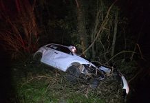 Carro colide com boi na RS-135 e deixa três mulheres feridas em Getúlio Vargas