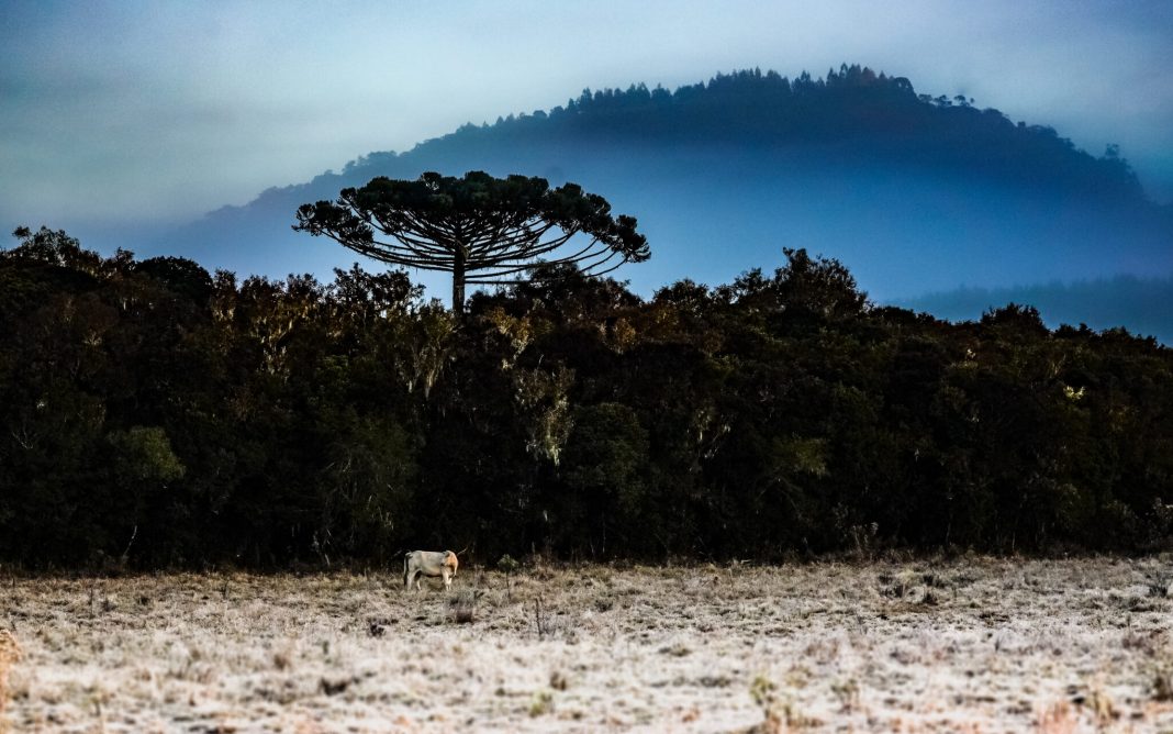 Inverno-Foto-Ricardo-Wolffenbuttel-_-Secom-2048x1280