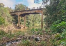 Polícia Ambiental flagra lançamento de dejetos suínos em rio de Arvoredo