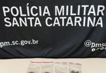 Justiça concede liberdade provisória a homem preso por tráfico de drogas em Concórdia