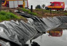 Bombeiros resgatam cachorro que caiu em esterqueira no interior de Seara