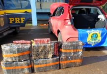 PRF apreende quase 100 quilos de maconha e prende motorista na BR-153 em Água Doce