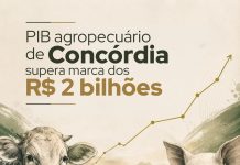 PIB agropecuário de Concórdia supera marca dos R$ 2 bilhões