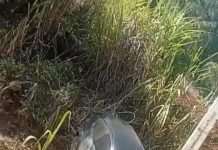 Saída de pista termina em colisão contra poste na comunidade de Jacutinga, em Ipumirim